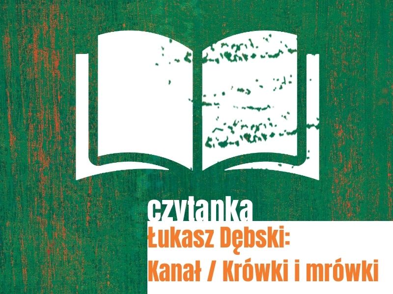 Łukasz Dębski / Kanał / Krówki i mrówki